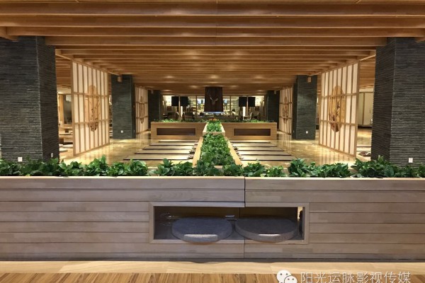 重庆按摩六百，养生舒压一绝，身心舒畅！